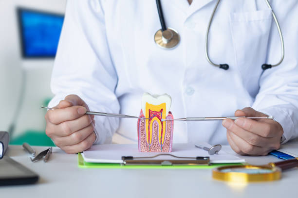 Best Chipped Tooth Repair Near Me  in Stroud, OK